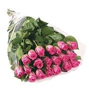 bouquet tonalit? rosa