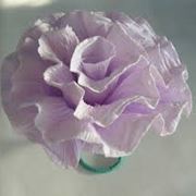 come realizzare fiori di carta