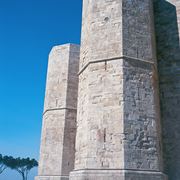 consegna fiori a Andria