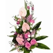 consegna fiori a Molfetta
