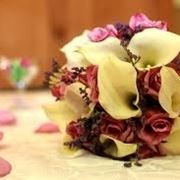 consegna fiori Crotone