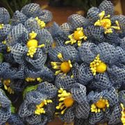 consegna fiori per congratulazioni