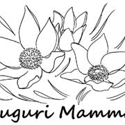 consegna fiori per la mamma