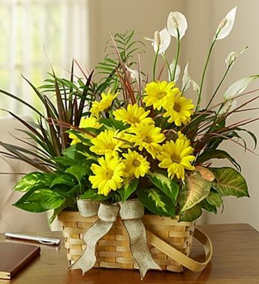 spedire fiori Roma