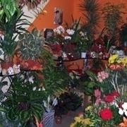 Decorazioni per matrimonio 
