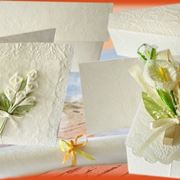 Domanda : fiori x matrimonio d'inverno