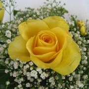 fiori anniversario-7