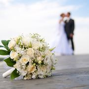 Fiori di luglio per matrimonio: quali sono le specie di stagione