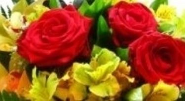 fiori di san valentino
