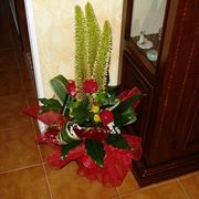 Fiori finti per la laurea