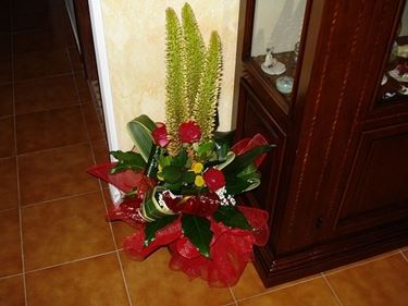 Fiori finti per la laurea