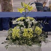 fiori per il diploma-1