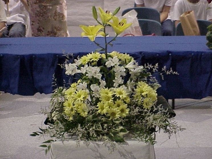 fiori per il diploma-1
