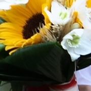 Addobbi floreali chiesa matrimonio
