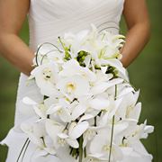 bouquet orchidee