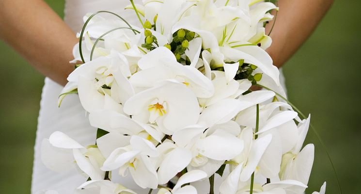 Bouquet Da Sposa Orchidee.Caratteristiche Del Bouquet Da Sposa Regalare Fiori Bouquet Da