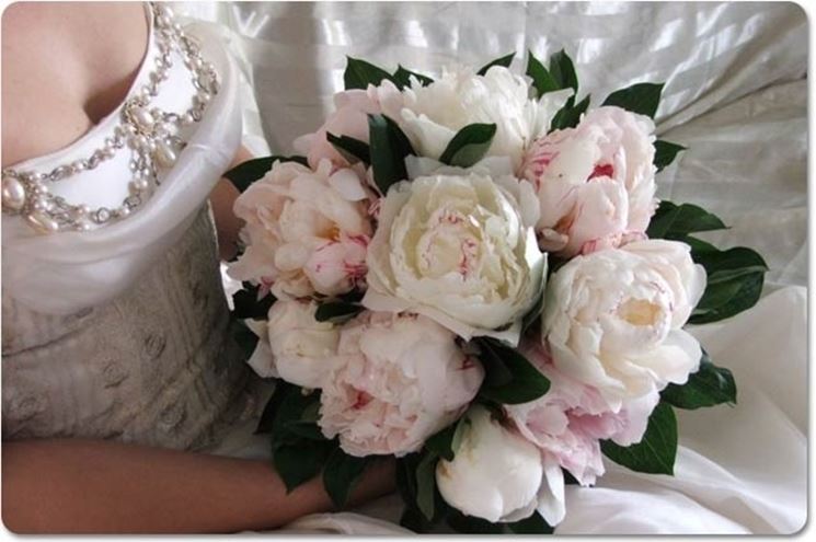 bouquet di fiori-11