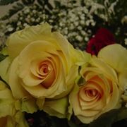 bouquet di fiori-3