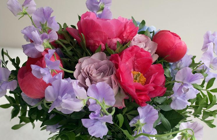 composizioni fiori secchi-8