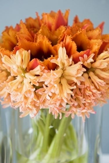 Domanda : FIORI RECISI