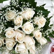 Domanda : fiori x matrimonio d'inverno