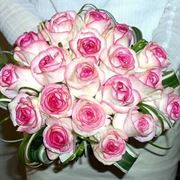 Fiori per nascita