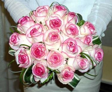 Fiori per nascita