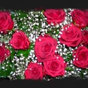 mazzo di rose-9