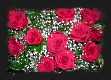 mazzo di rose-9