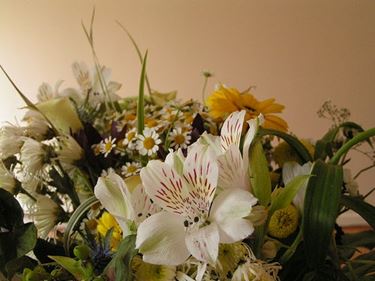 Quali fiori scegliere: naturali, secchi, freschi o artificiali