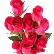 bouquet di rose rosse e bianche