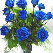 Come annaffiare le rose blu naturali
