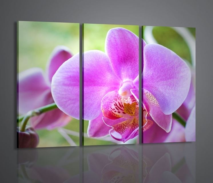 fiori amore-5