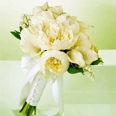 peonia
