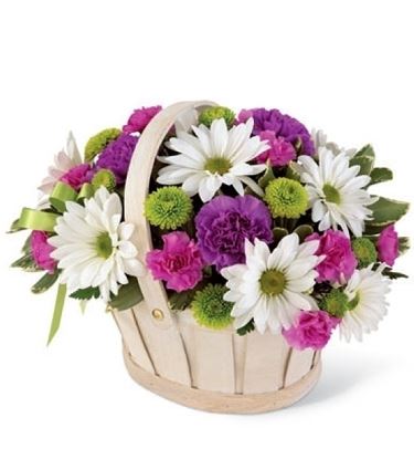 significato dei fiori rosa gialla