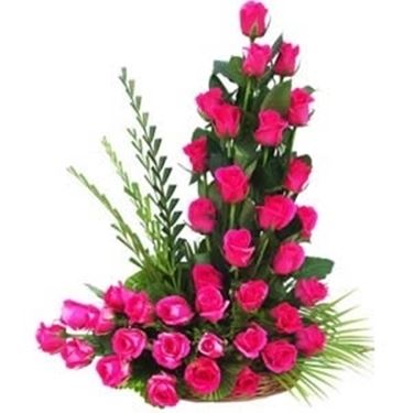 significato dei fiori rosa rosa