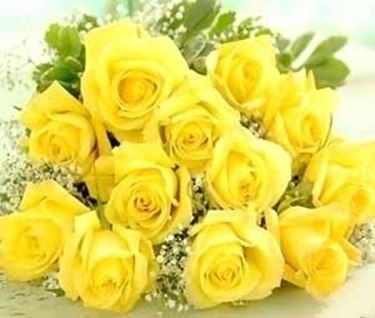 significato del colore delle rose