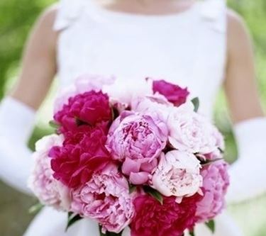 significato delle peonie-2
