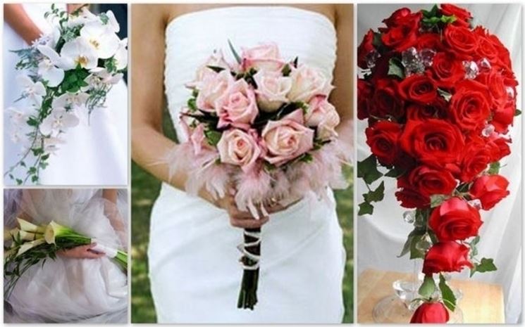significato delle rose-9
