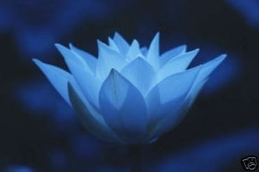 significato loto-6