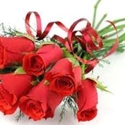 significato numero rose