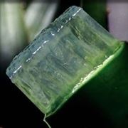 aloe cura-8