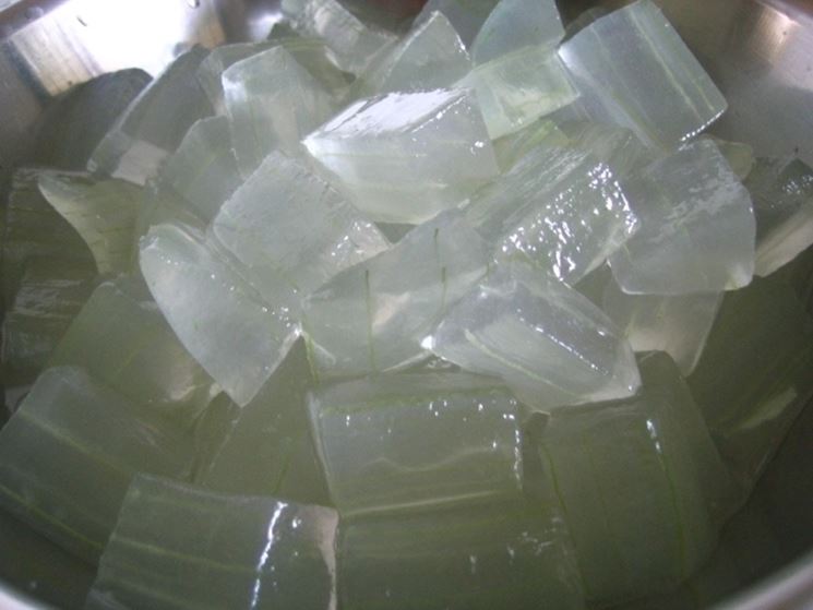 aloe vera gel-4