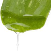 aloe vera gel-5
