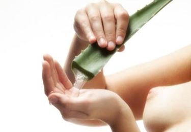 cura aloe-1
