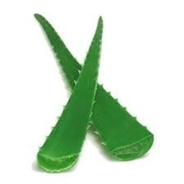 cura aloe-2