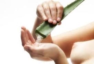 cura aloe-6