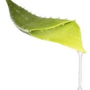 propriet aloe
