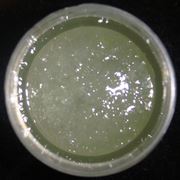 succo aloe-5