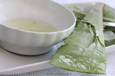 succo aloe-6